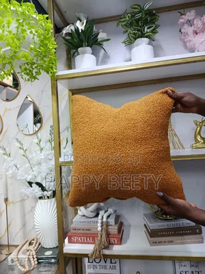 Classy and Elegant Throw Pillows