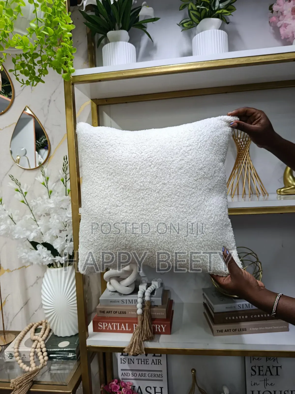Classy and Elegant Throw Pillows