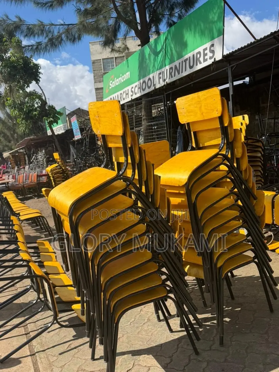Yellow Varnished Senior School Chairs
