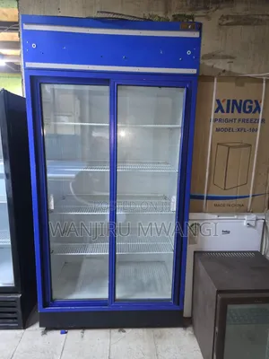 Side by Side Showcase Fridge
