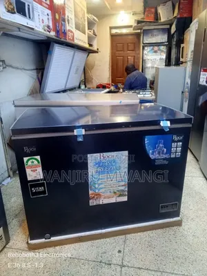 Roch 300l Deep Freezer
