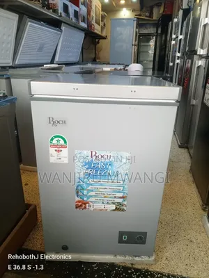 Roch 100l Deep Freezer