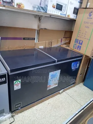 Roch Double Door Freezer