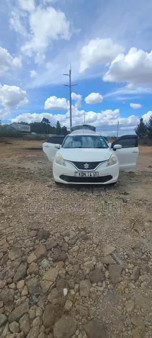 Suzuki Baleno 2016 Pearl
