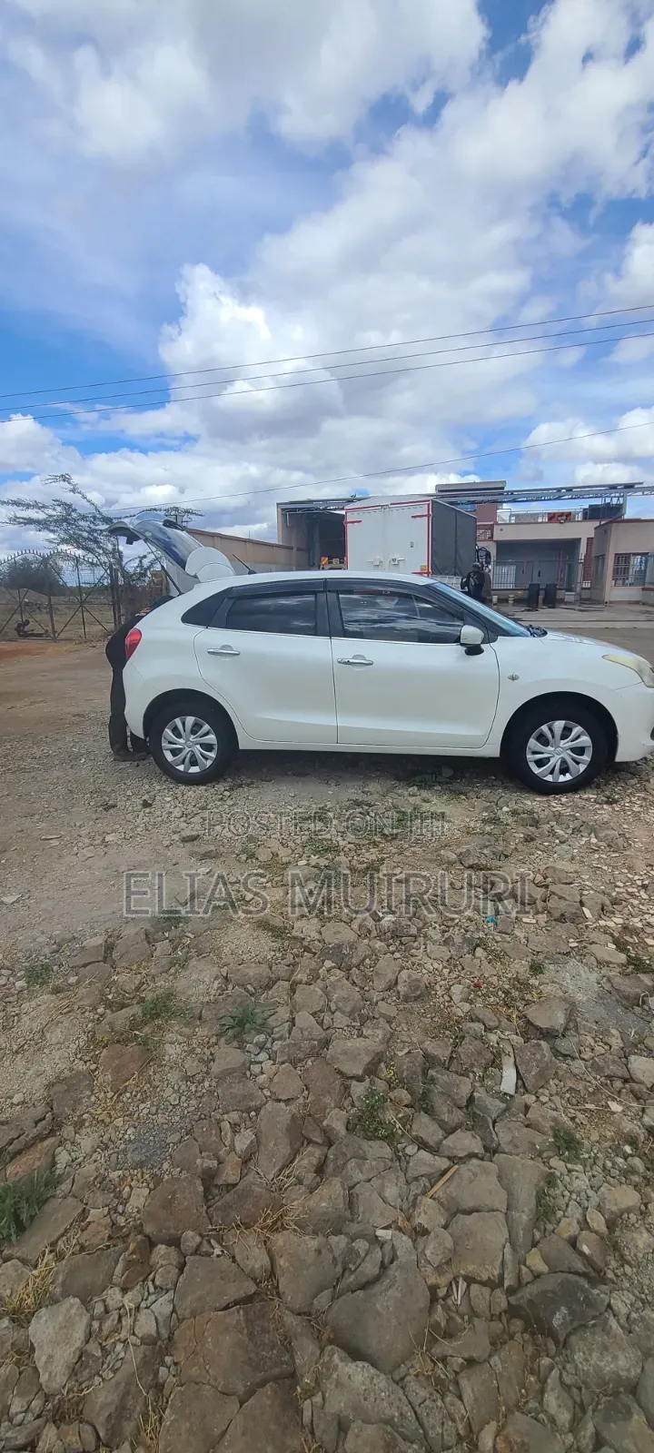 Suzuki Baleno 2016 Pearl
