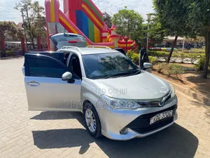 Toyota Corolla Fielder 2017 Silver