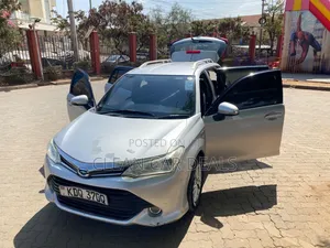 Toyota Corolla Fielder 2017 Silver