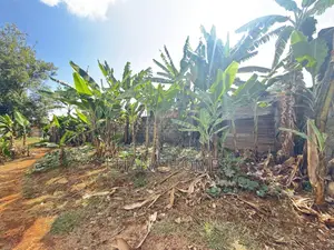 36x110 Plot for Sale in Kiunyu Touching Tarmac