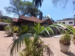 Commercial Property for Rent in Kileleshwa