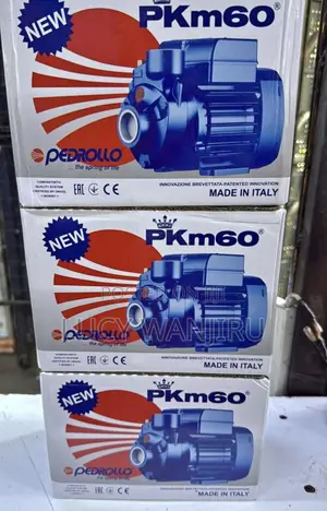 Pedrallo 0.5hp / Electric Pedrollo Water Pump PKM 60