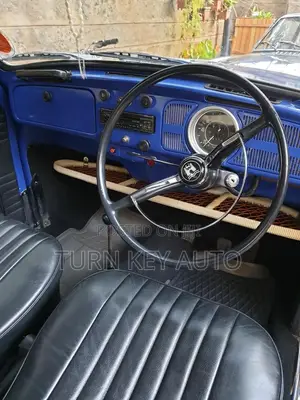 Volkswagen Beetle 1970 Blue