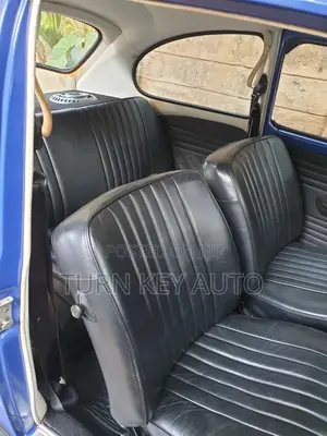 Volkswagen Beetle 1970 Blue