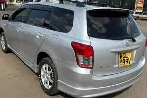 Toyota Corolla Fielder 2010 Silver