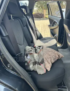 Toyota RAV4 2015 Black