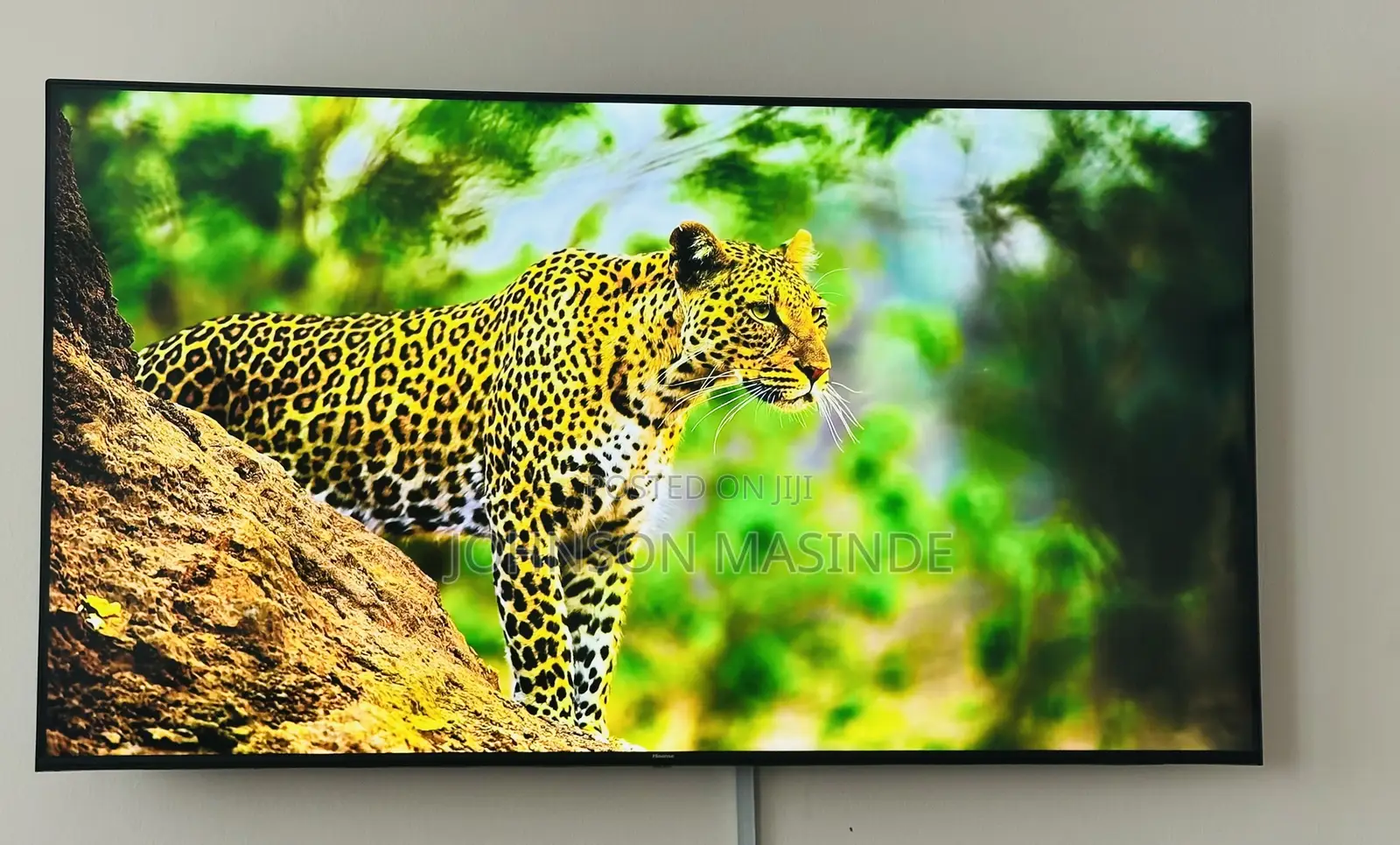 Hisense Television
