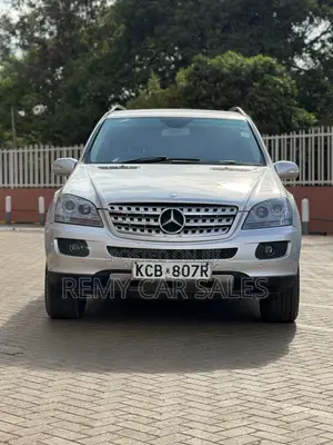 Mercedes-Benz 300D 2009 Silver