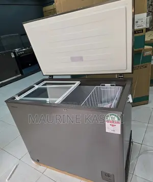Hisense Dual Freezer 200 Liters -Grey