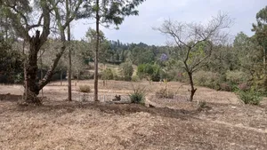 1/8 Residential Plots for Sale in Ongata Rongai Nkoroi