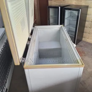 Exuk Double Door Freezer