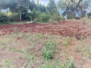One and Half Acres