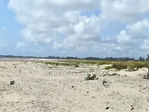 18 Acres Forsale First Row Beach Near to Patapata Malindi.