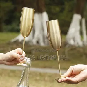 2pc Gold Stainless Steel Wine Glass Set | 270ml | Champagne Flutes
