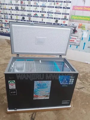 Roch 300litres Deep Freezer