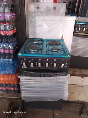 3+1 Electric Cooker