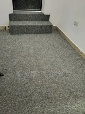 Grey Color Wall to Wall Car