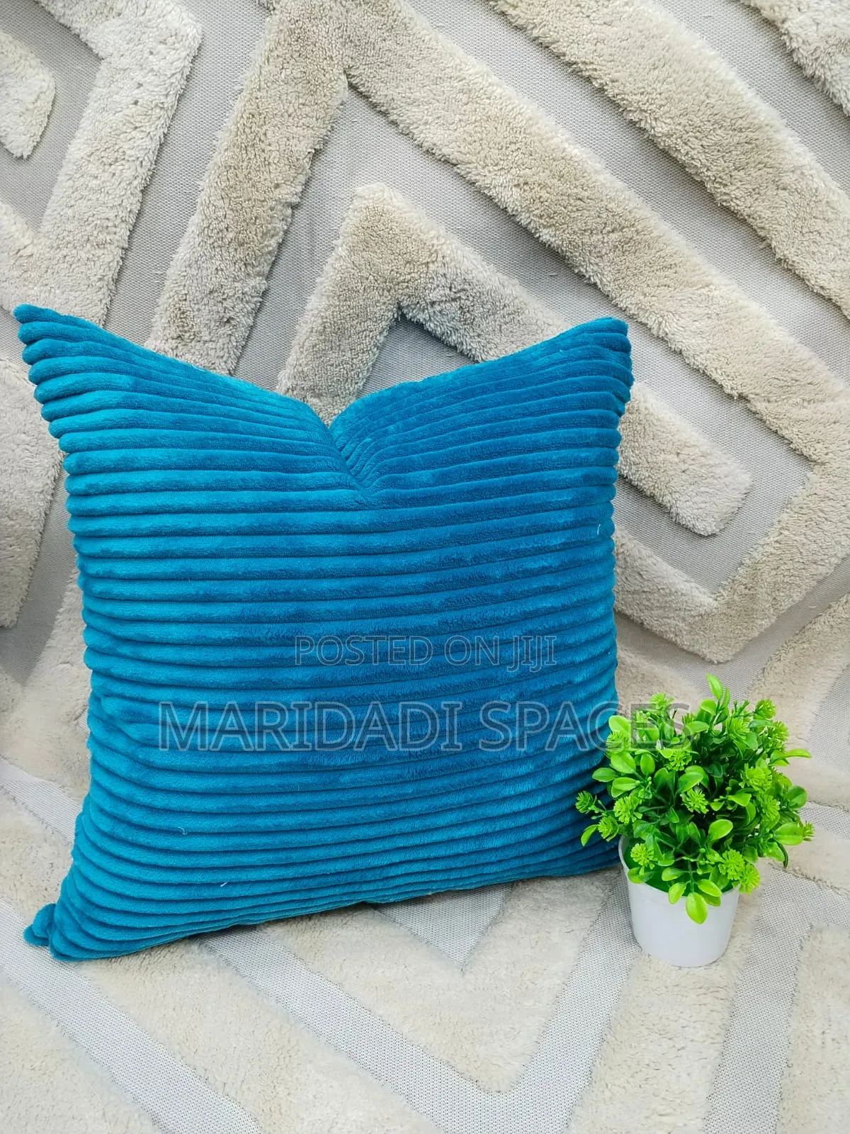 Velvet Cases for Your Throw Pillows