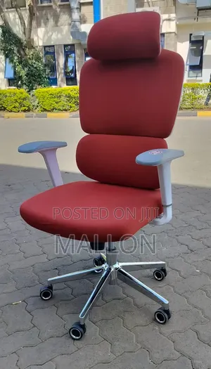 High-Back Orthopedic Ergonomic Office Chair
