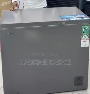 Hisense 239liters Dual Chest Freezer Grey