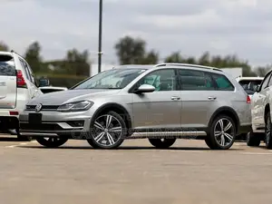 Volkswagen Golf Alltrack 2019 Silver