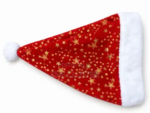 Christmas Hat