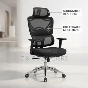 Orthopedic High Back Home Computer Chair.