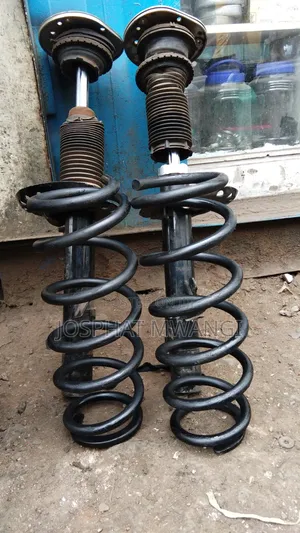 Springs and X Japan Shocks