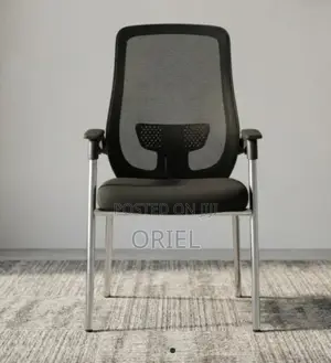 Office Chair : Ergonomic Guest Chair