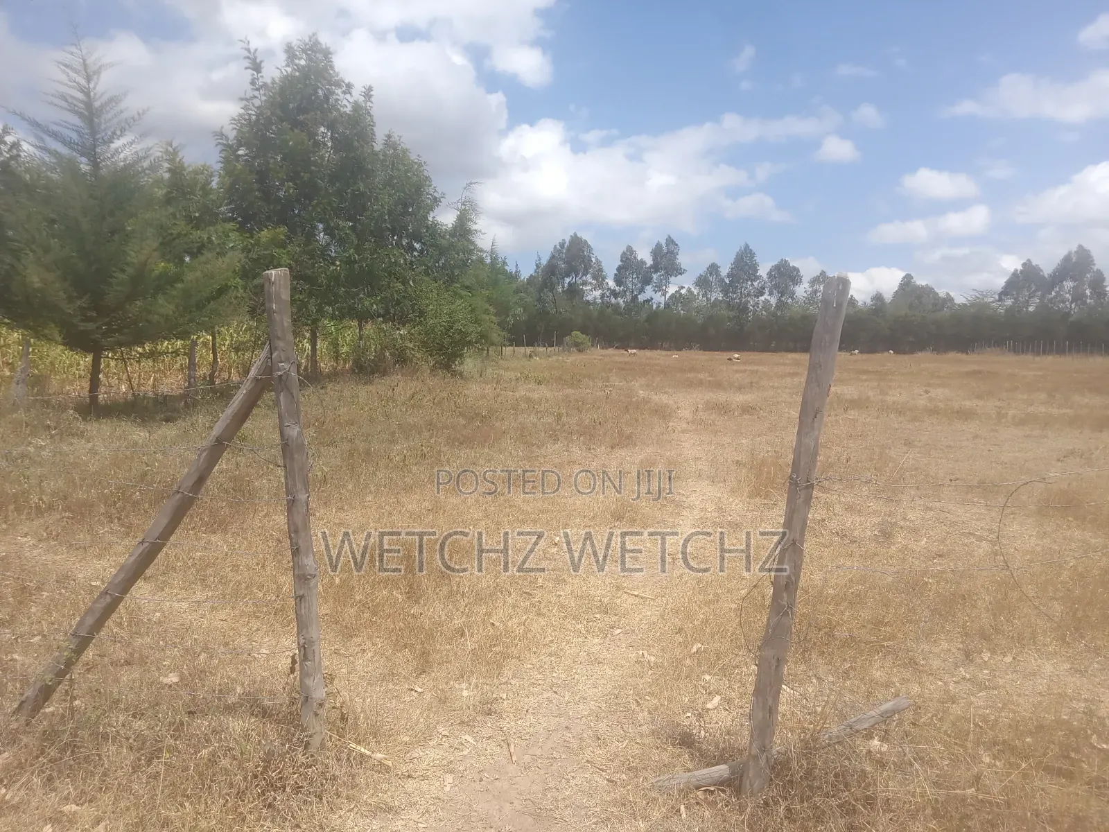 1acre Airstrip Nanyuki