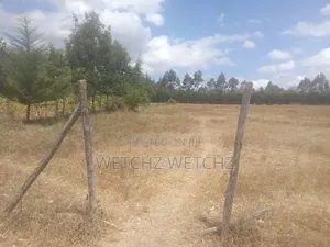 1acre Airstrip Nanyuki