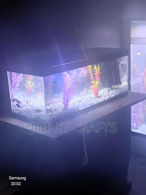 3ft Desktop Aquarium - thumbnail 2