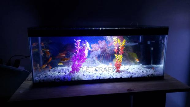 3ft Desktop Aquarium - thumbnail 3