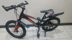 Crossroad 24-Inch Mountain Bike