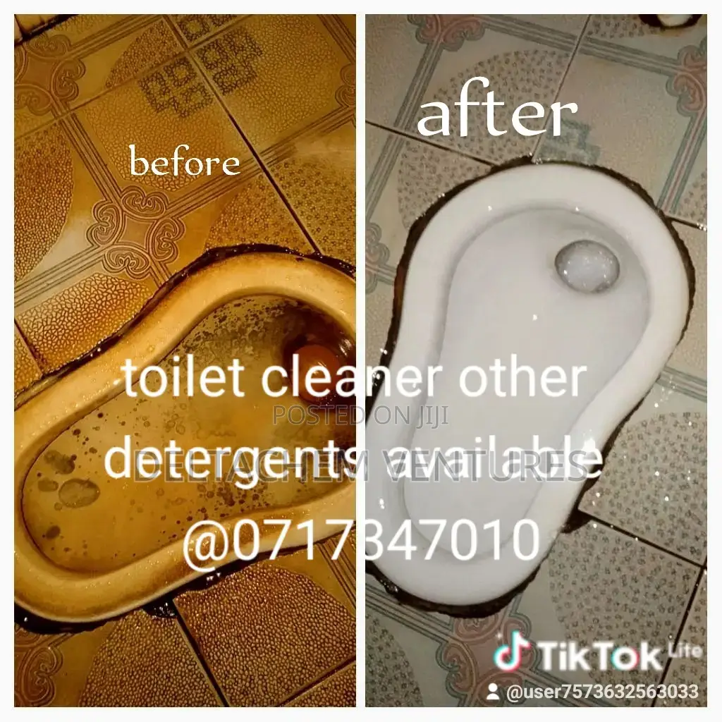Toilet Cleaner