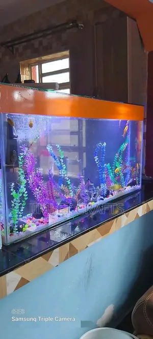 3ft Orange Desktop Aquarium