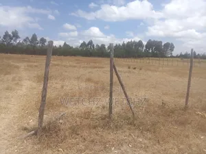1acre Airstrip Nanyuki