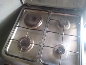 Electrick Gas Cooker