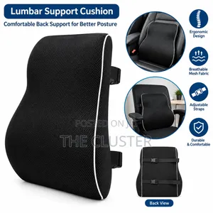 Memory Foam Lumbar Support Back Cushion