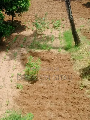 Land for Sale Near Mrima Hills Kikoneni
