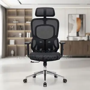 Executive Fabric Chairs | Orthopedic Dual Backrest Chair