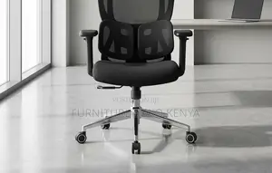 Executive Fabric Chairs | Orthopedic Dual Backrest Chair